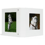 English Bulldog Avery Binder