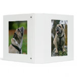 English Bulldog Avery Binder