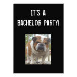 English Bulldog Bachelor Party Invitations