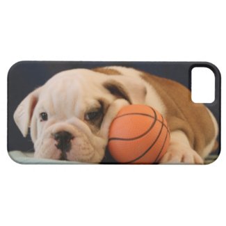 English Bulldog Basketball Puppy iPhone 5 Cover