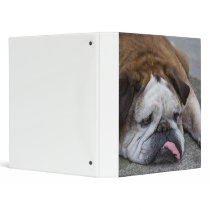 English bulldog binder