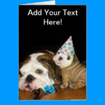English Bulldog Birthday cards