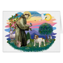 English Bulldog (brown-white) cards