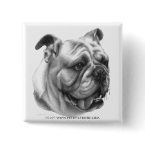 English Bulldog Pinback Buttons