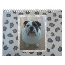 English bulldog calendar!