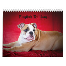 English Bulldog Calendars