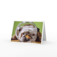 English Bulldog Card