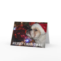 English Bulldog Christmas Cards
