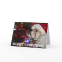 English Bulldog Christmas cards by missphnx2 English Bulldog Christmas cards