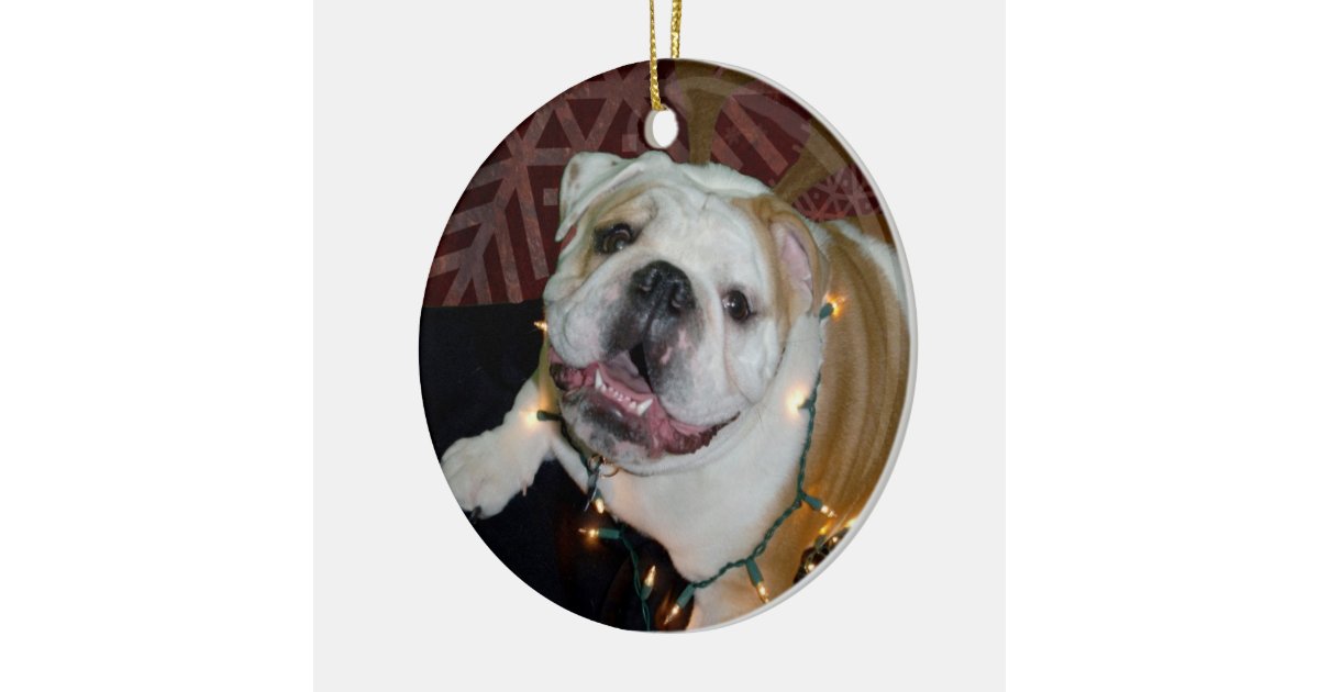 english bulldog christmas ornament zazzle english bulldog christmas ornament zazzle