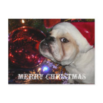 English Bulldog Christmas postcards by missphnx2 English Bulldog Christmas postcards