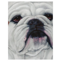 English Bulldog Close and Personal Custom Flyer