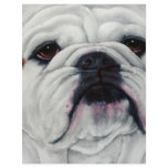English Bulldog Close and Personal Letterhead Template