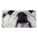 English Bulldog Close and Personal Custom Photo Card