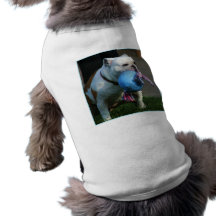 English Bulldog Dog Shirt