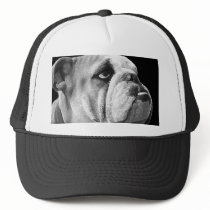 English Bulldog Hat Black