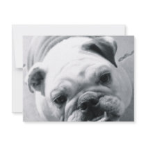 English Bulldog invitations by halleey English Bulldog invitations