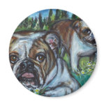 English Bulldog loungers Gus & Haddy magnets
