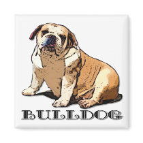 English Bulldog magnet