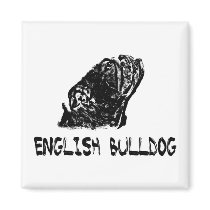 English bulldog magnet by Junglegeorge English bulldog magnet