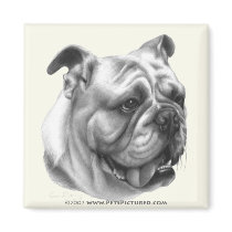 English Bulldog Refrigerator Magnet
