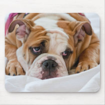 English Bulldog Mousepad