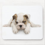 English Bulldog Mousepad