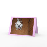 English Bulldog note/greeting card