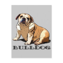 English Bulldog postcard