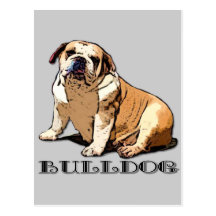 English Bulldog postcard
