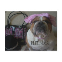 ENGLISH BULLDOG POSTCARD REMINDER