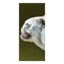 English Bulldog Profile rack cards