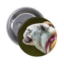 English Bulldog Profile buttons