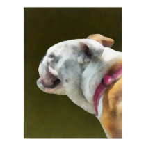 English Bulldog Profile posters