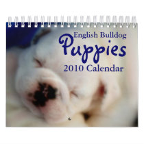 English Bulldog Puppies 2010 Calendar