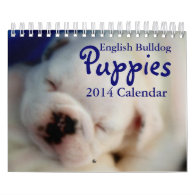 English Bulldog Puppies 2014 Calendar