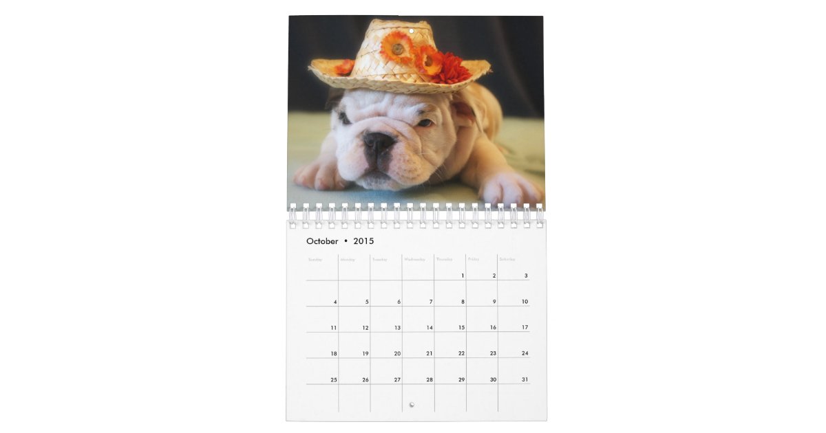 English Bulldog Puppies 2015 Calendar Zazzle