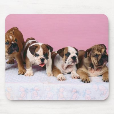 english bulldog  puppies mouse pad by denvercris