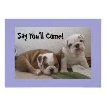 English Bulldog Puppies Party Invitations!