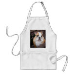 English bulldog puppy apron