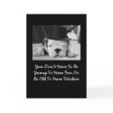 English Bulldog Puppy Birthday Card by time2see English Bulldog Puppy Birthday Card