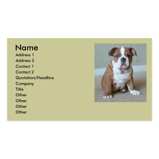 English Bulldog Puppy Business Cards (front side)