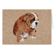 English Bulldog Puppy card