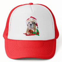 English bulldog puppy in Santa Hat Apparel