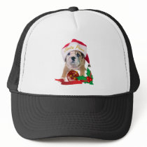 English bulldog puppy in Santa Hat Apparel
