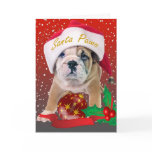 English bulldog puppy in Santa Hat Greeting Cards
