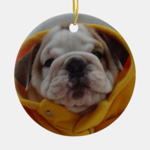 English Bulldog Puppy Ornament Zazzle