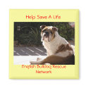 English Bulldog Rescue Network - Customized magnets