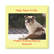 English Bulldog Rescue Network - Customized magnets by jluvabull English Bulldog Rescue Network - Customized magnets