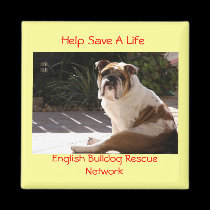 English Bulldog Rescue Network - Customized magnets
